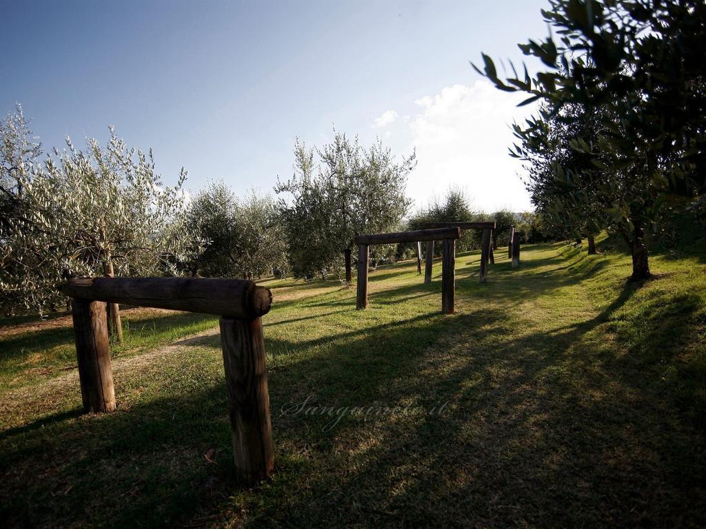 Agriturismo Sanguineto Acquaviva  Dış mekan fotoğraf