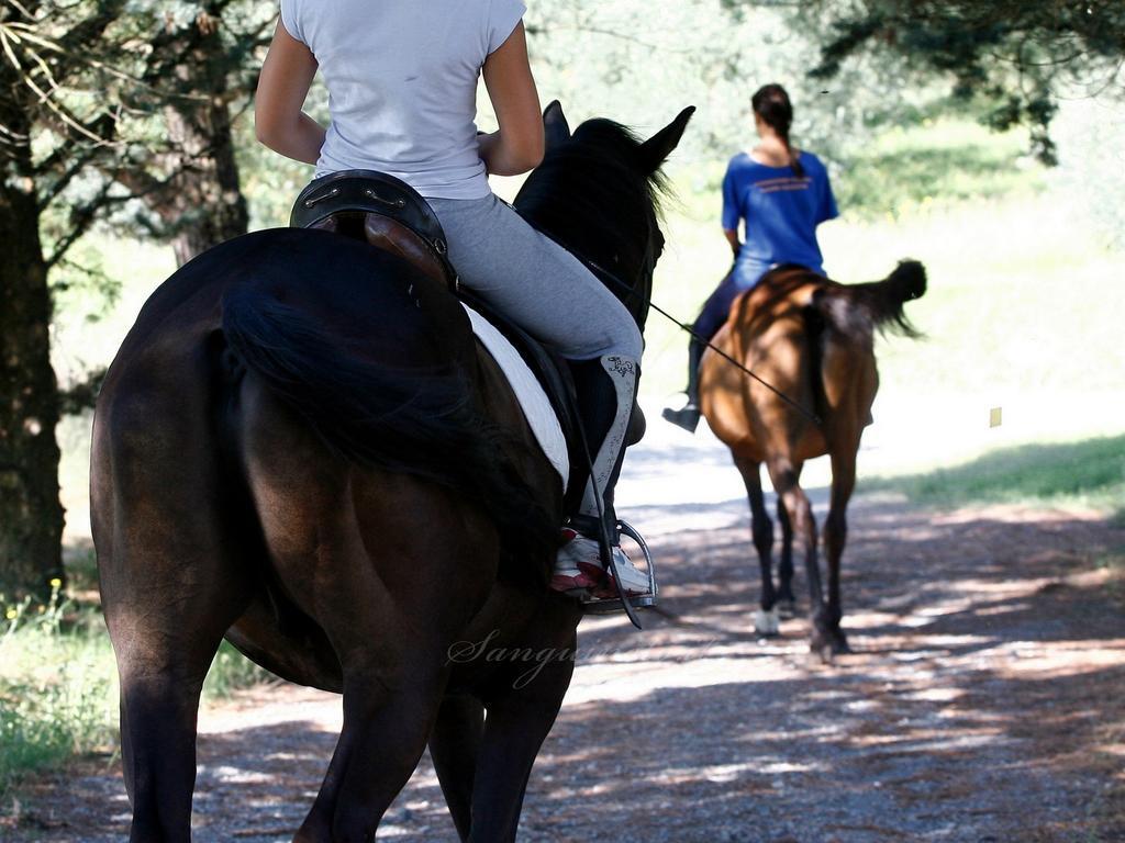 Agriturismo Sanguineto Acquaviva  Dış mekan fotoğraf