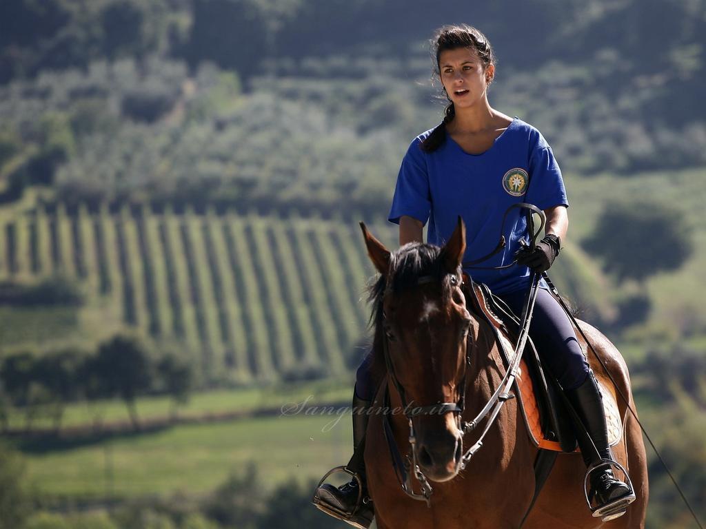 Agriturismo Sanguineto Acquaviva  Dış mekan fotoğraf