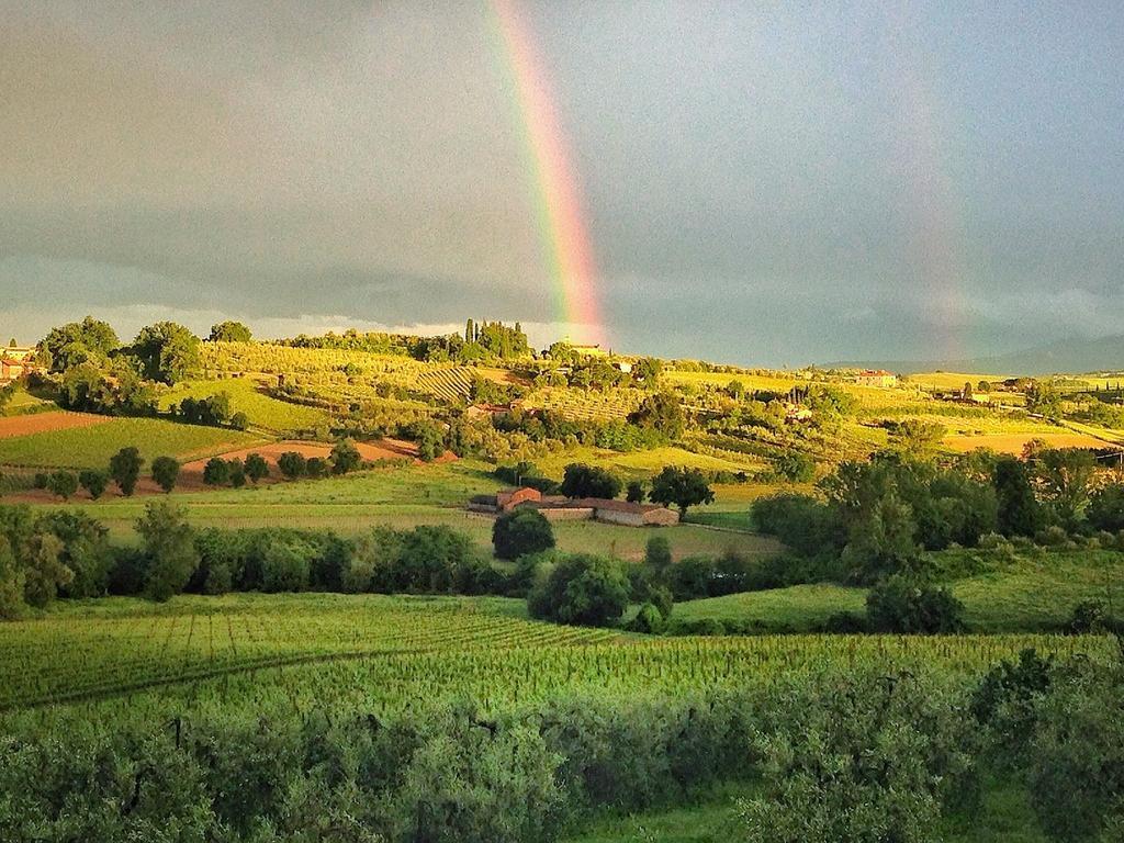 Agriturismo Sanguineto Acquaviva  Dış mekan fotoğraf
